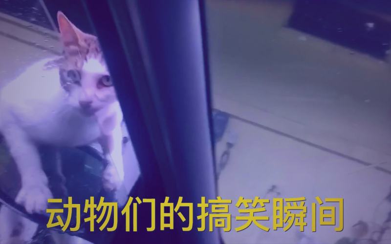 人人视频悬疑剧角色剖析：演员深入人心的特写镜头