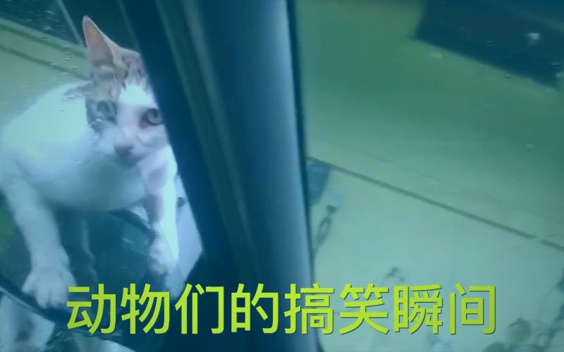 电视剧《风声》剧照：顾晓梦与李宁玉在裘庄内紧张对峙的场景，光线昏暗，气氛凝重