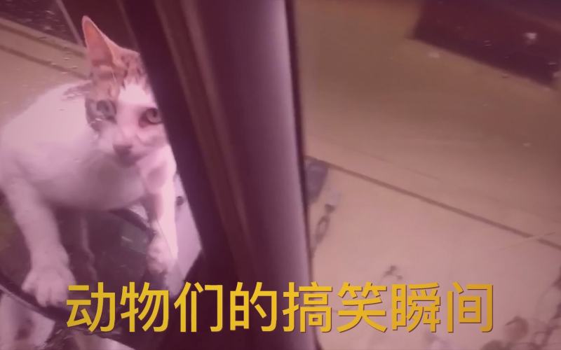 人人视频完结剧集口碑炸裂推荐 追剧场景截图